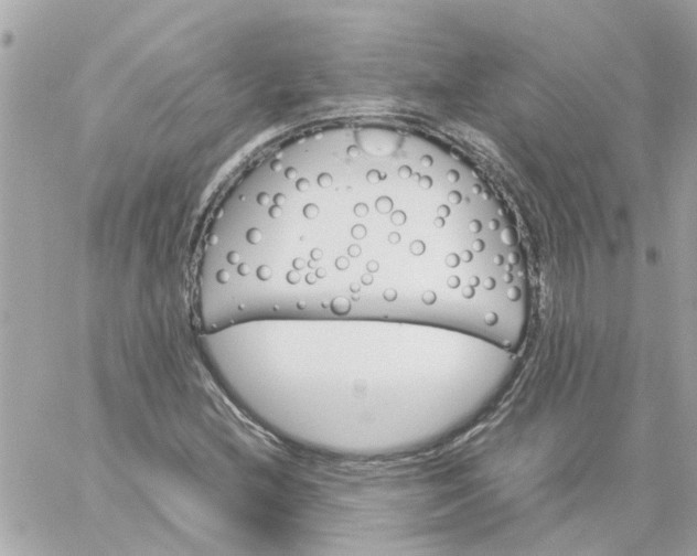 X0000059251212200510281947