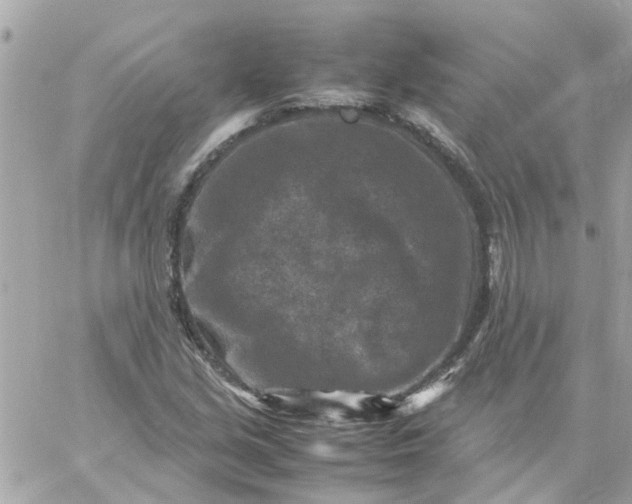 X0000059251213200510281947