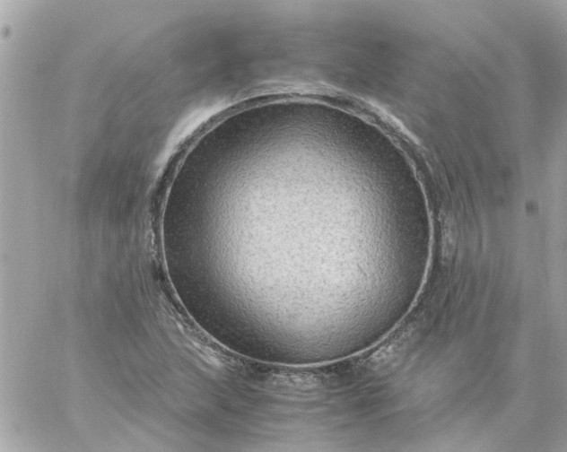 X0000059251215200510281947