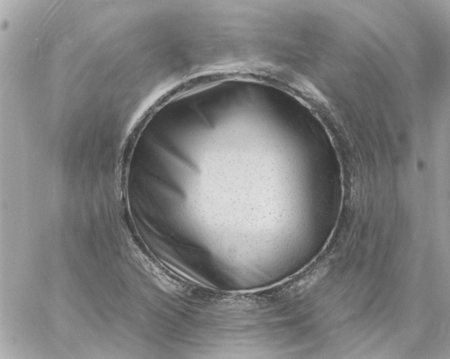 X0000059251216200510281947