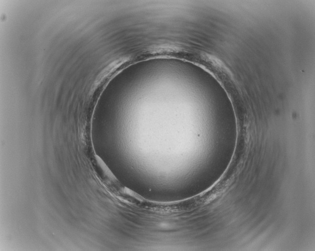 X0000059251217200510281947