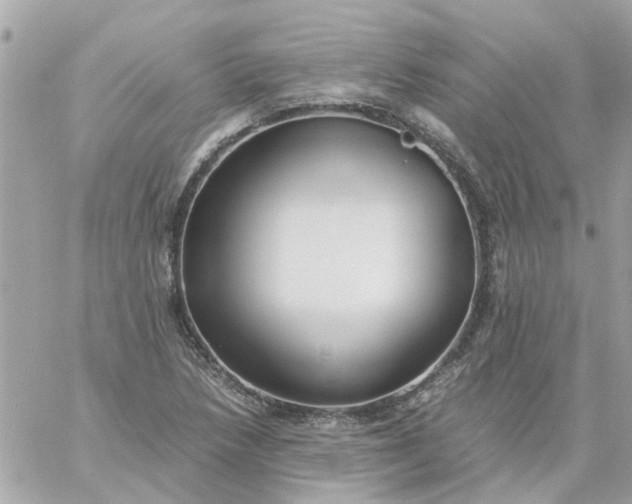 X0000059251218200510281947