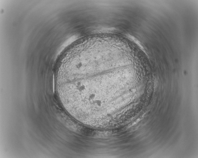 X0000059251219200510281947