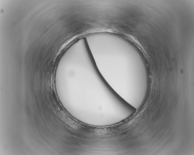 X0000059251220200510281947