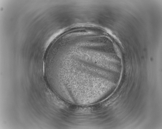 X0000059251221200510281947