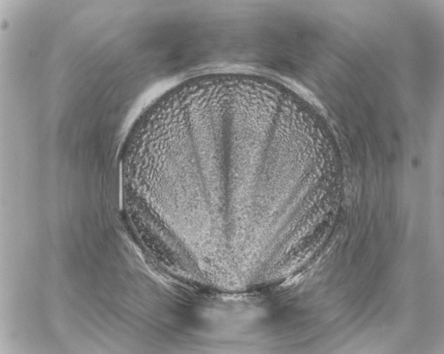 X0000059251223200510281947