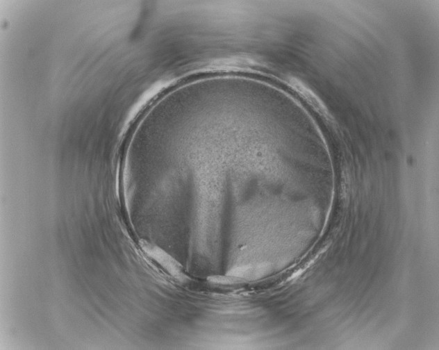 X0000059251224200510281947