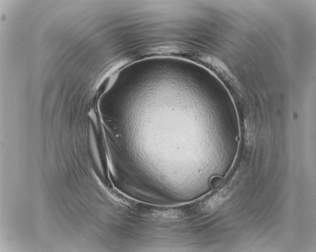 X0000059251225200510281947