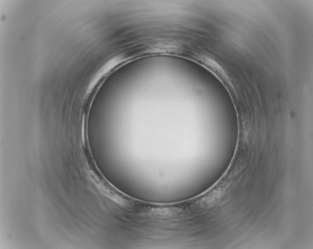 X0000059251227200510281948