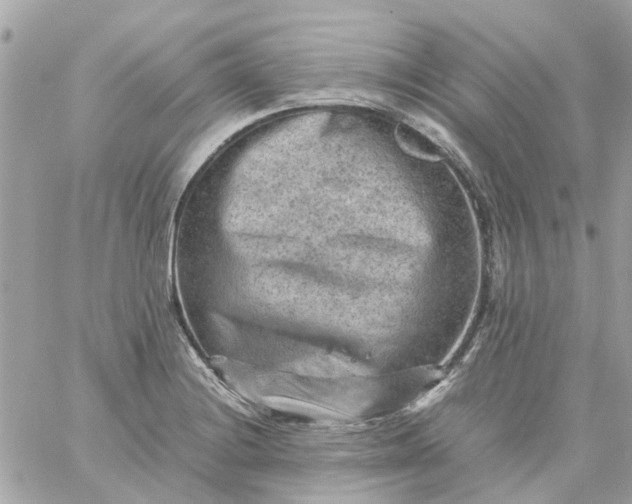 X0000059251228200510281948