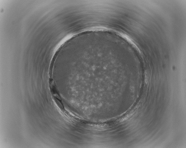 X0000059251229200510281948