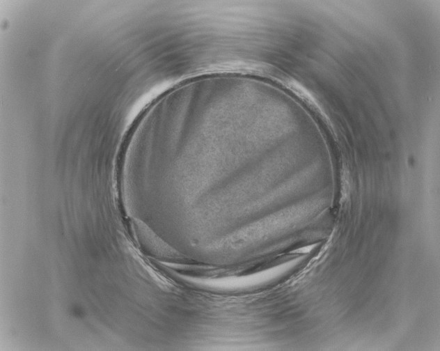 X0000059251230200510281948