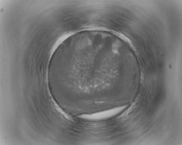 X0000059251231200510281948