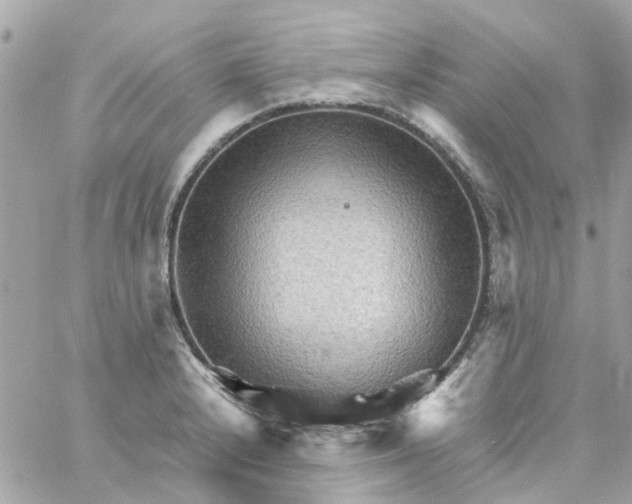 X0000059251232200510281948