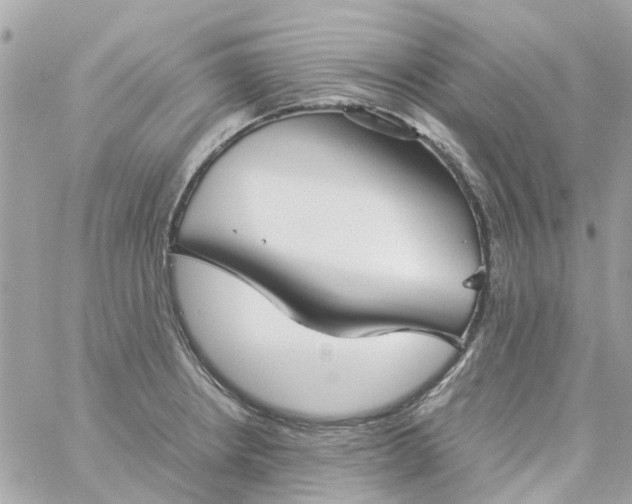 X0000059251234200510281948