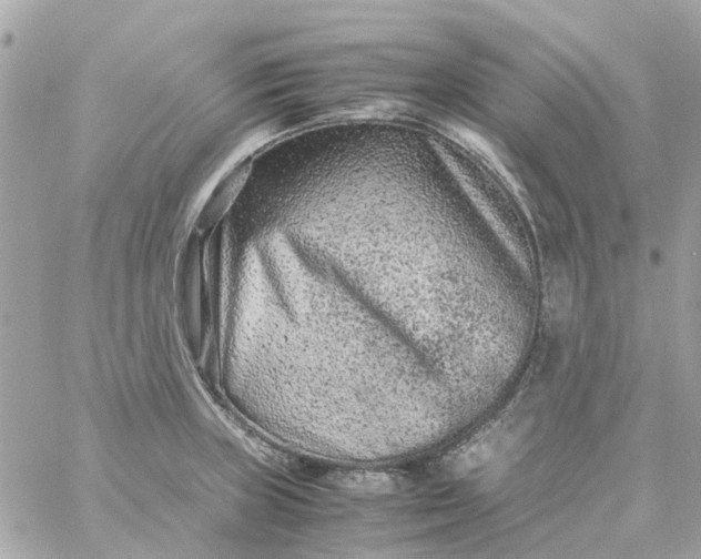 X0000059251235200510281948