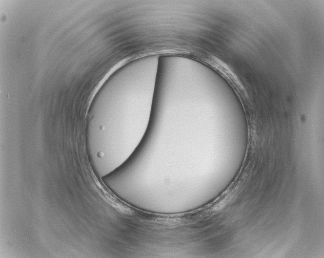 X0000059251236200510281948