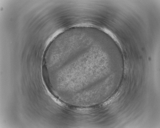 X0000059251237200510281948