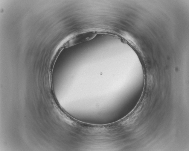 X0000059251238200510281948