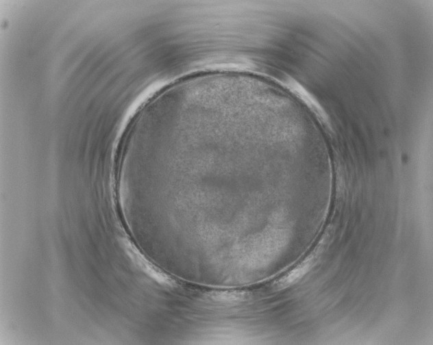 X0000059251240200510281948