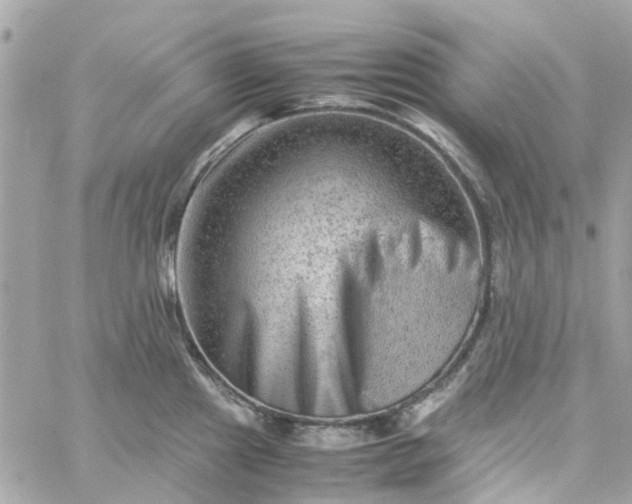 X0000059251241200510281948