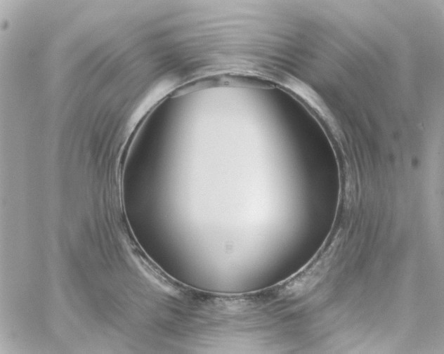 X0000059251242200510281948