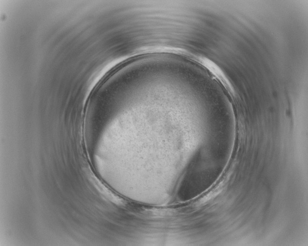 X0000059251244200510281948