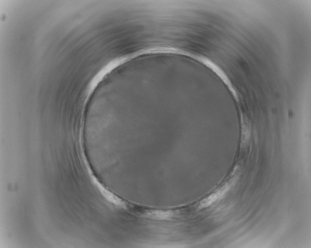 X0000059251245200510281948