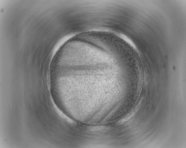 X0000059251247200510281948