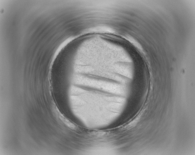 X0000059251248200510281948