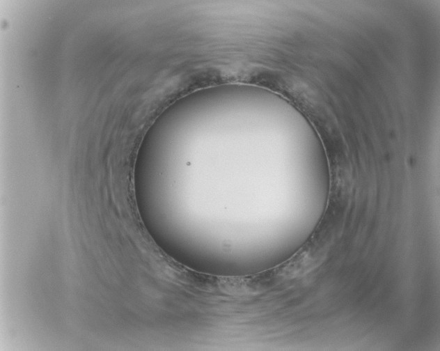 X0000059251249200510281947