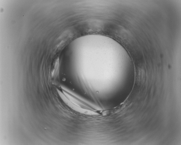 X0000059251250200510281947