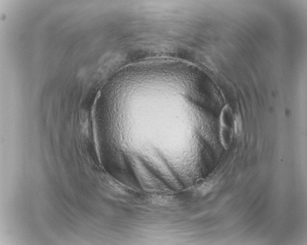 X0000059251251200510281947