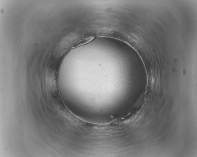 X0000059251252200510281947