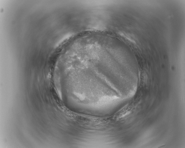 X0000059251254200510281947