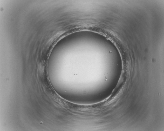 X0000059251257200510281947