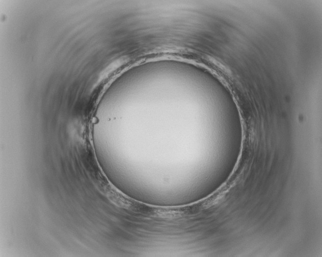 X0000059251258200510281947