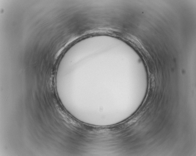 X0000059251260200510281947