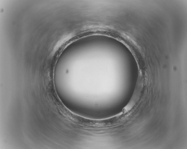 X0000059251261200510281947