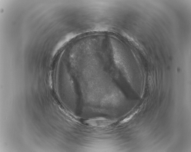 X0000059251262200510281947