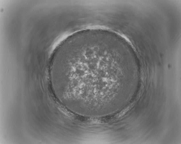 X0000059251263200510281947