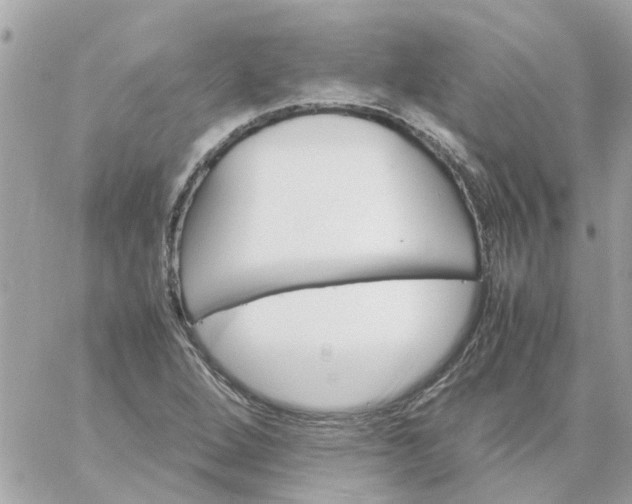 X0000059251264200510281947