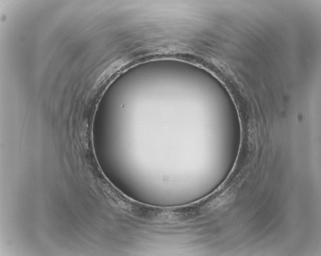 X0000059251265200510281947