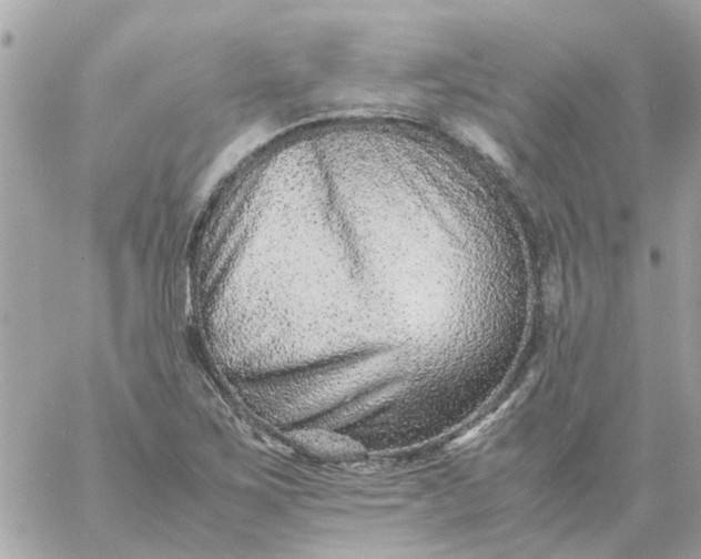 X0000059251267200510281947