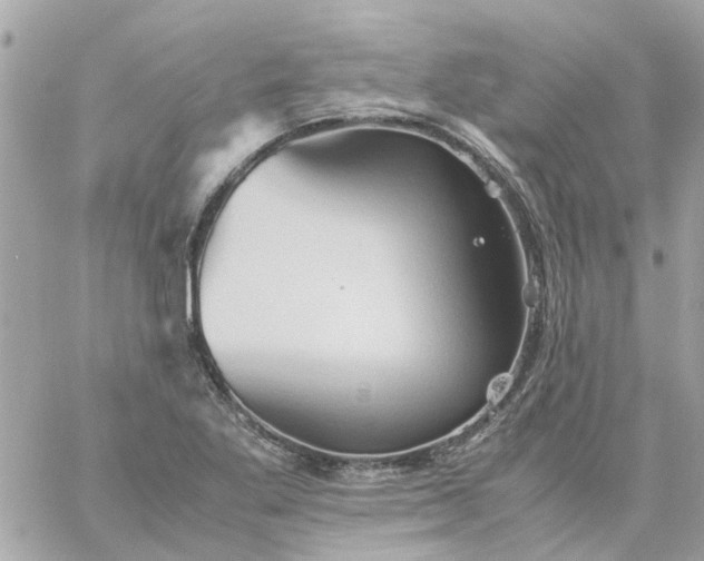 X0000059251269200510281947