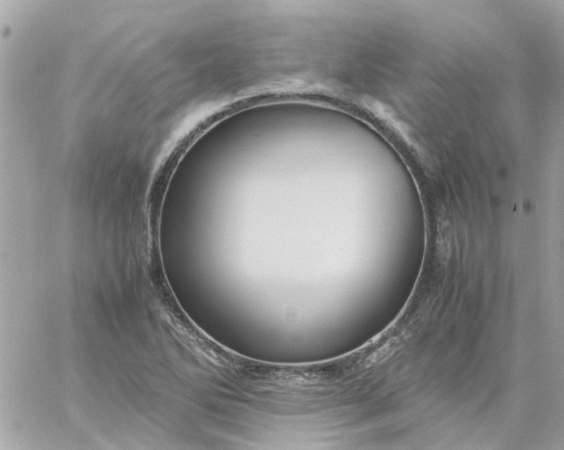 X0000059251270200510281947