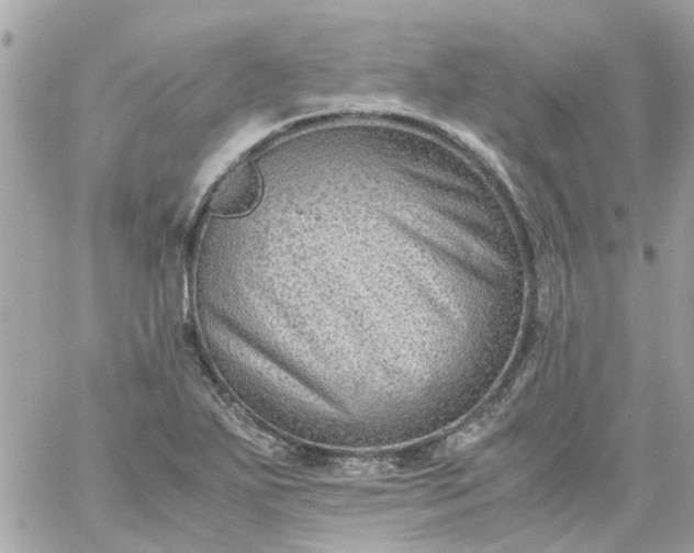 X0000059251271200510281947