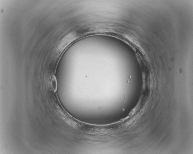 X0000059251273200510281947