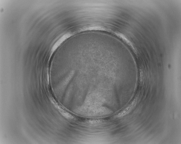 X0000059251274200510281947