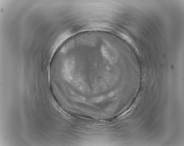 X0000059251275200510281947